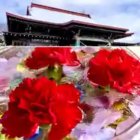 伊達神社の手水舎