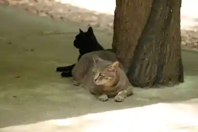 玉野御嶽神社(愛知県)