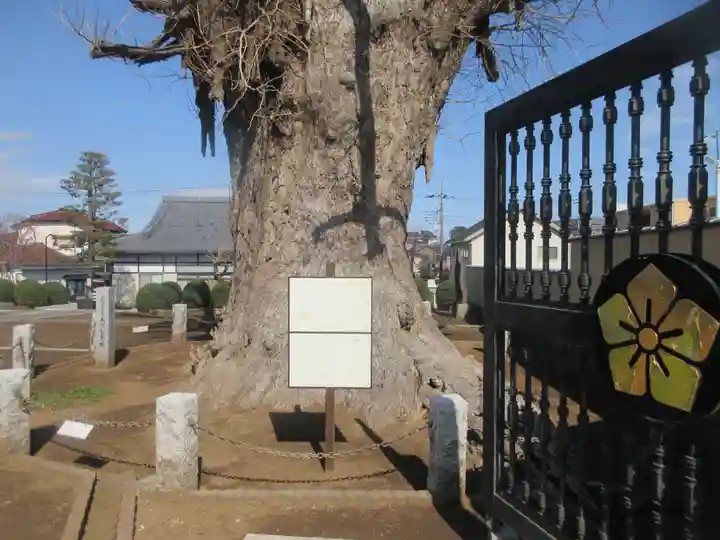 長照寺(埼玉県)