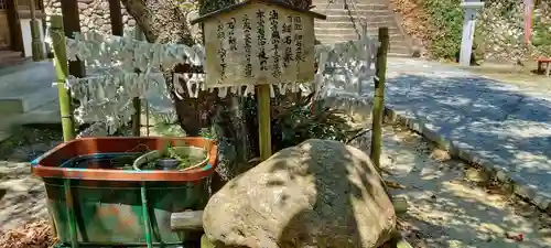 目の霊山　油山寺のその他建物