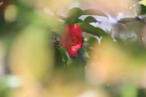豊景神社の庭園