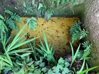 四宮神社の自然