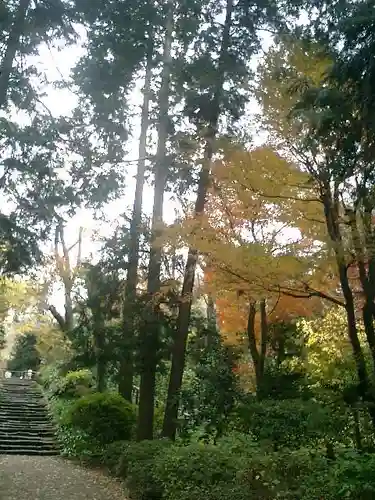 浄智寺の庭園