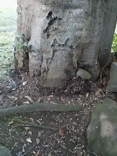 駒形神社(岩手県)