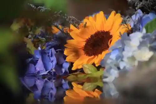 滑川神社 - 仕事と子どもの守り神の手水舎
