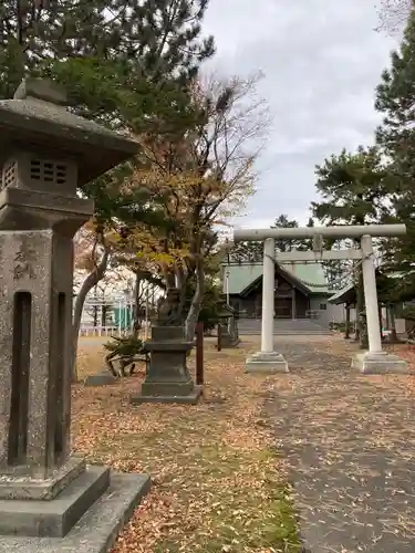 丘珠神社の鳥居