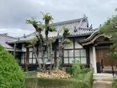 圓通寺の本殿