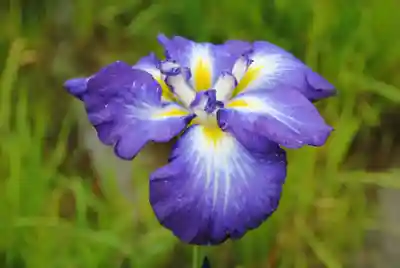 二本松寺(茨城県)