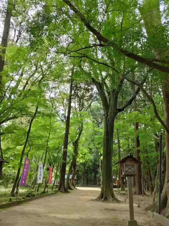 小御門神社(千葉県)