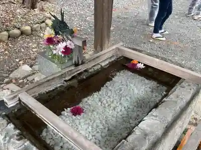 三熊野神社の{uncategorized: "未分類", other: "その他", undefined: "問題あり", building: "その他建物", grave: "お墓", sacred_gate: "鳥居", guardian: "狛犬", statue: "像", buddha: "仏像", history: "歴史", nature: "自然", garden: "庭園", animal: "動物", pagoda: "塔", temizu: "手水舎", mountain_gate: "山門・神門", sanctuary: "本殿・本堂", subordinate: "末社・摂社", art: "芸術", scenery: "景色", jizo: "地蔵", ema: "絵馬", goshuin: "御朱印", omikuji: "おみくじ", items: "授与品その他", amulet: "お守り", goshuincho: "御朱印帳", eats: "食事", festival: "お祭り", votive_dance: "神楽", shichigosan: "七五三参", wedding: "結婚式", experience: "体験その他", initially: "初詣", around: "周辺", anti_infection: "感染症対策"}