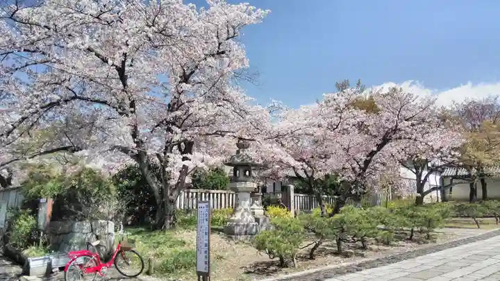 吒枳尼天(法伝寺)のその他建物