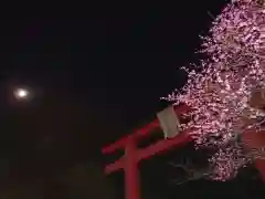 亀戸天神社の鳥居