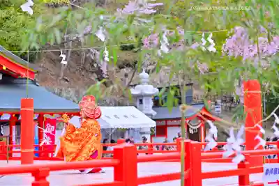 金櫻神社(山梨県)