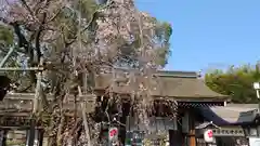 平野神社の自然