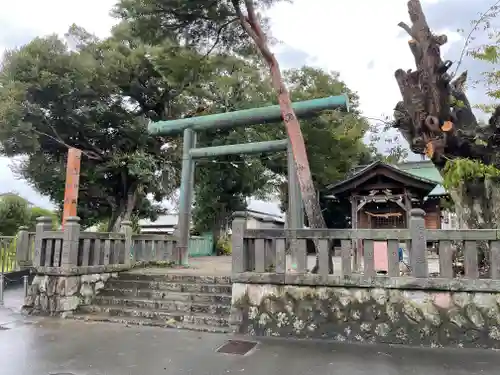 三島神社の鳥居