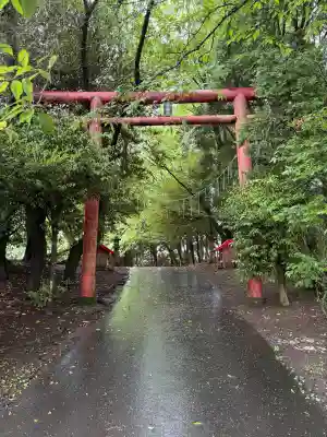 太玉神社の{uncategorized: "未分類", other: "その他", undefined: "問題あり", building: "その他建物", grave: "お墓", sacred_gate: "鳥居", guardian: "狛犬", statue: "像", buddha: "仏像", history: "歴史", nature: "自然", garden: "庭園", animal: "動物", pagoda: "塔", temizu: "手水舎", mountain_gate: "山門・神門", sanctuary: "本殿・本堂", subordinate: "末社・摂社", art: "芸術", scenery: "景色", jizo: "地蔵", ema: "絵馬", goshuin: "御朱印", omikuji: "おみくじ", items: "授与品その他", amulet: "お守り", goshuincho: "御朱印帳", eats: "食事", festival: "お祭り", votive_dance: "神楽", shichigosan: "七五三参", wedding: "結婚式", experience: "体験その他", initially: "初詣", around: "周辺", anti_infection: "感染症対策"}