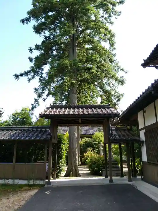 隆国寺のその他建物