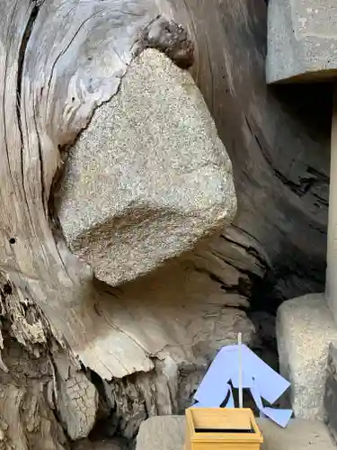 胎安神社(茨城県)