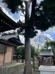 永田春日神社(神奈川県)