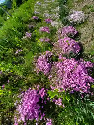 高司神社〜むすびの神の鎮まる社〜(福島県)