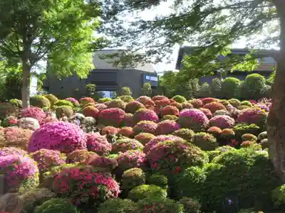 根津神社(東京都)