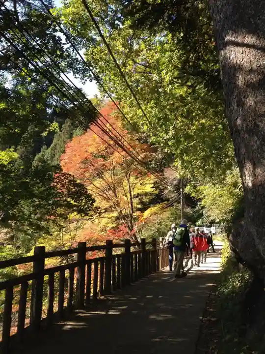 武蔵御嶽神社の周辺