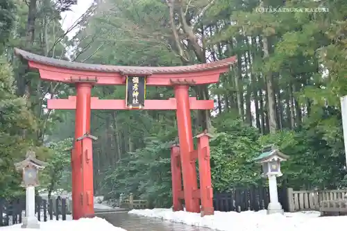 彌彦神社の鳥居