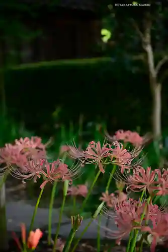 横浜　西方寺(神奈川県)