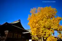 葛飾八幡宮(千葉県)