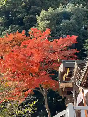 高麗神社(埼玉県)