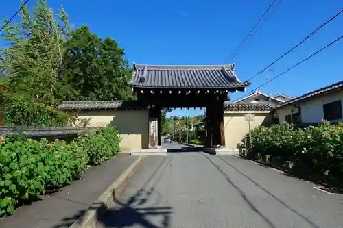東福禅寺（東福寺）の山門・神門