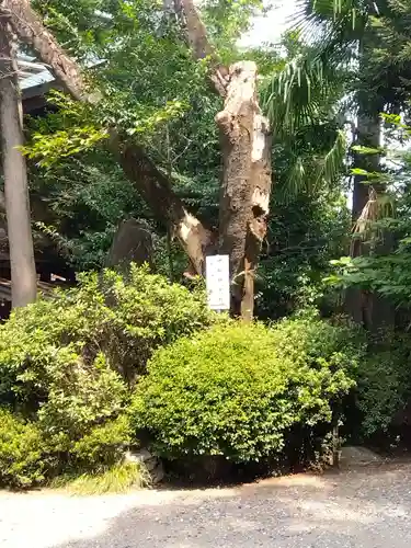 座間神社(神奈川県)
