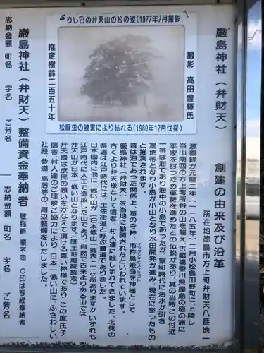 厳島神社（弁天山）の歴史