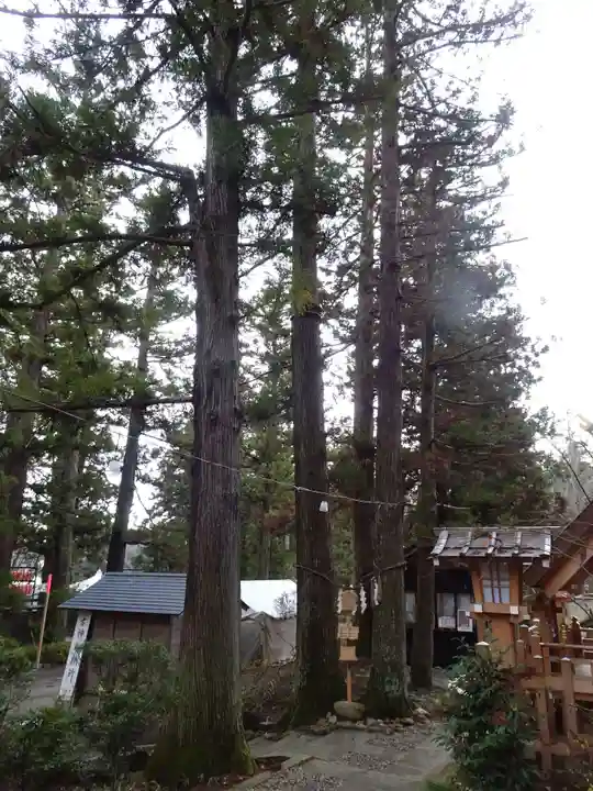 大崎八幡宮(宮城県)