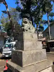 天沼八幡神社の狛犬