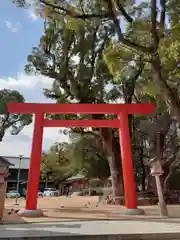 長田神社の鳥居