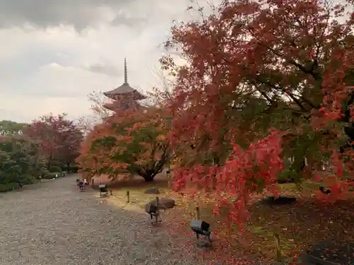 東寺（教王護国寺）の景色