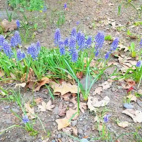彌彦神社　(伊夜日子神社)の自然