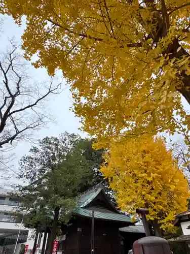 阿邪訶根神社(福島県)