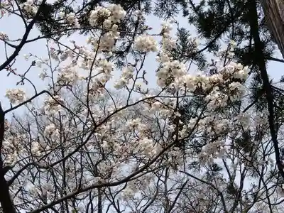 日吉神社(福井県)