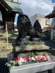 札幌諏訪神社の狛犬