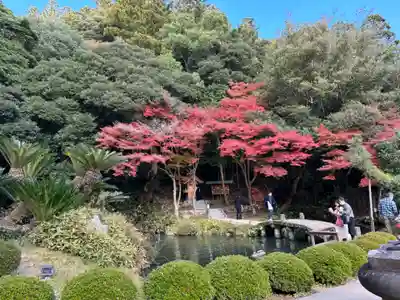 出雲大社北島国造館 出雲教(島根県)