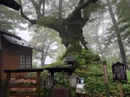 熊野皇大神社(長野県)