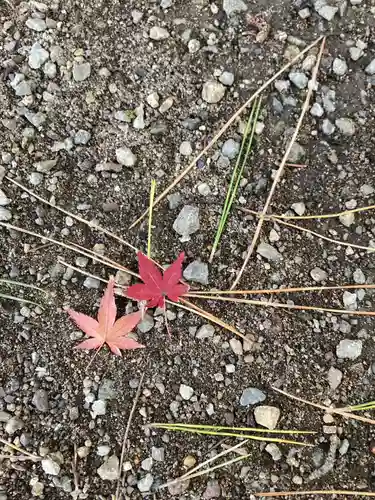 鶴林寺(兵庫県)