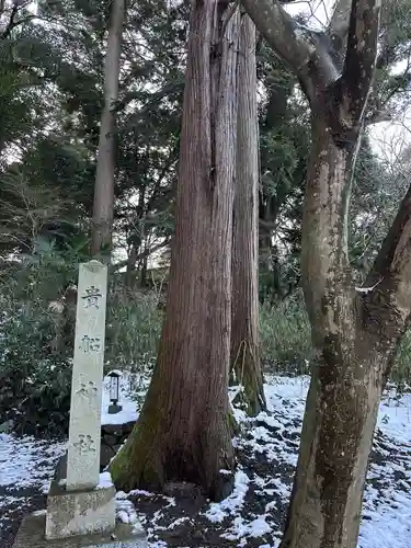 大神神社(岐阜県)