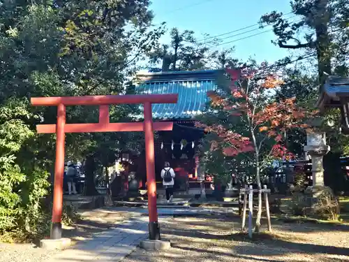 武蔵一宮氷川神社(埼玉県)