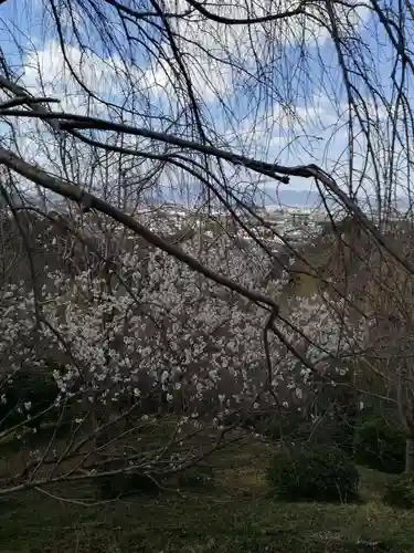  久延彦神社の自然