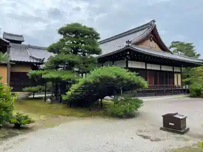 鹿苑寺(金閣寺)(京都府)
