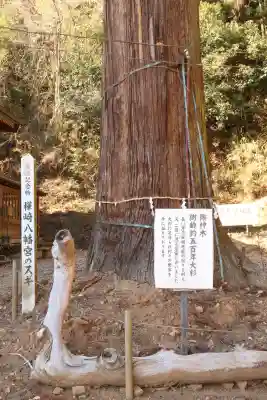 樺崎八幡宮(栃木県)