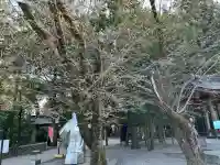 穂高神社本宮(長野県)